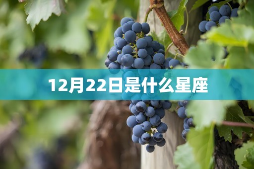 12月22日是什么星座