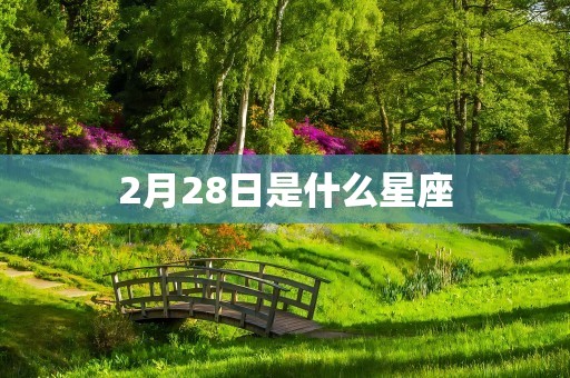 2月28日是什么星座
