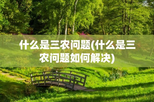 什么是三农问题(什么是三农问题如何解决)