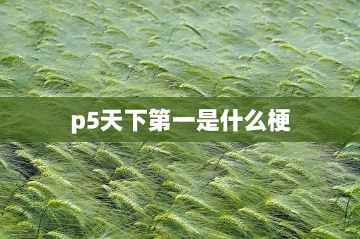 p5天下第一是什么梗