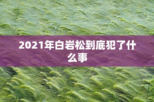 2021年白岩松到底犯了什么事