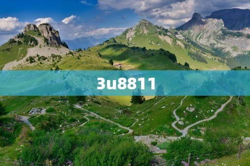 3u8811