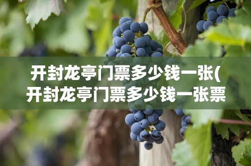 开封龙亭门票多少钱一张(开封龙亭门票多少钱一张票)