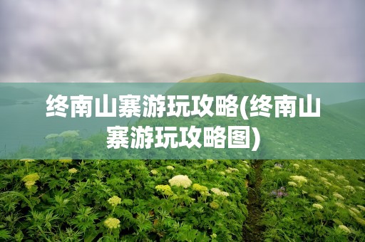 终南山寨游玩攻略(终南山寨游玩攻略图)