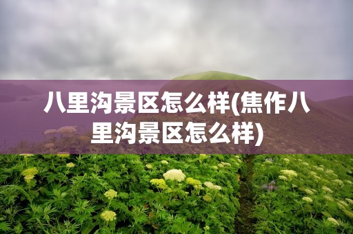 八里沟景区怎么样(焦作八里沟景区怎么样)
