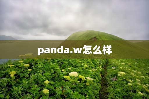 panda.w怎么样