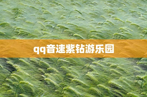 qq音速紫钻游乐园