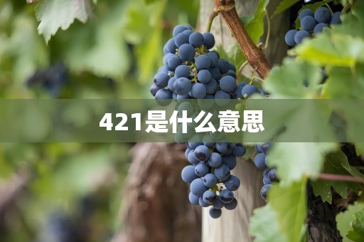 421是什么意思