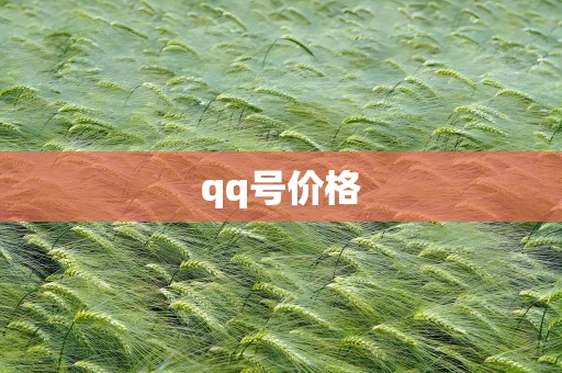 qq号价格