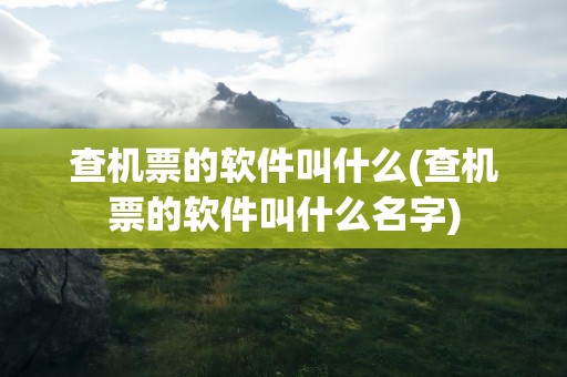 查机票的软件叫什么(查机票的软件叫什么名字)
