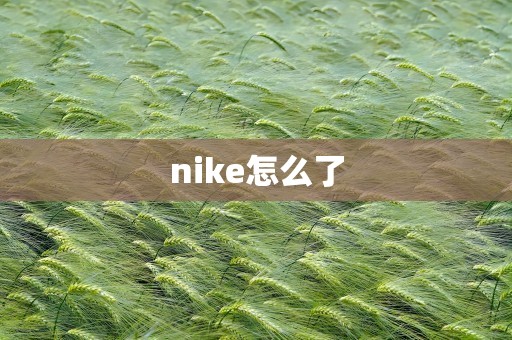 nike怎么了