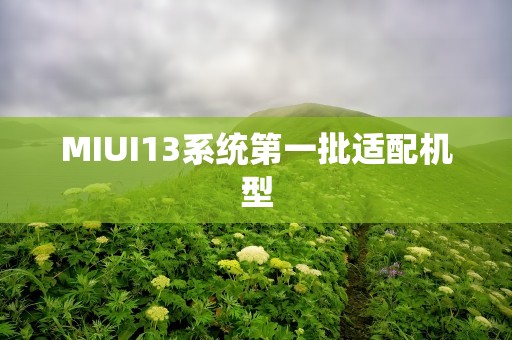 MIUI13系统第一批适配机型