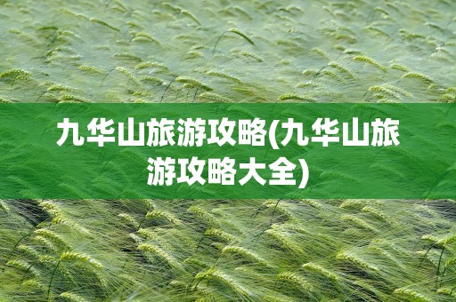 九华山旅游攻略(九华山旅游攻略大全)