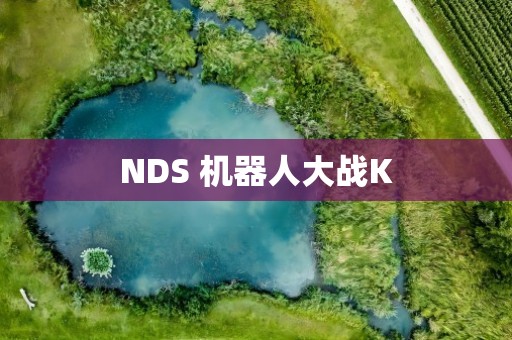 NDS 机器人大战K