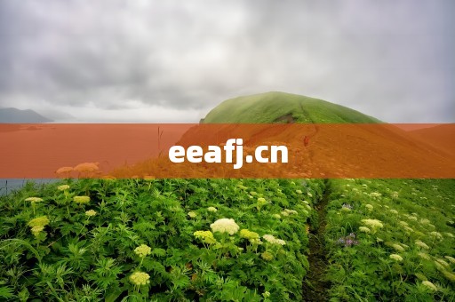 eeafj.cn