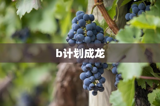 b计划成龙