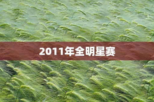 2011年全明星赛