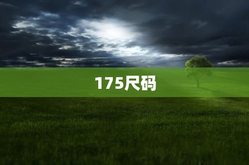 175尺码