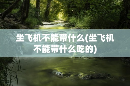 坐飞机不能带什么(坐飞机不能带什么吃的)