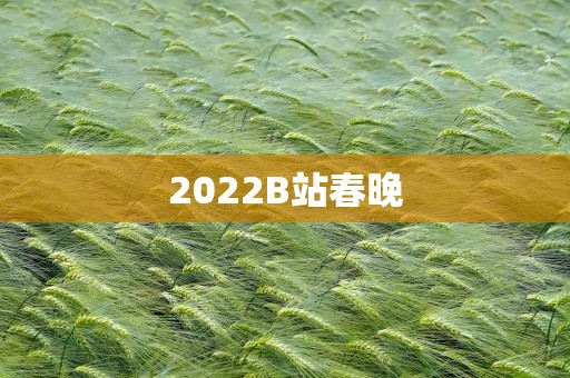 2022B站春晚