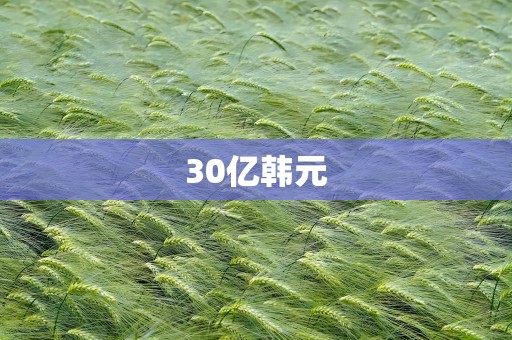 30亿韩元