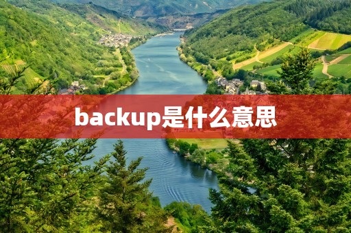 backup是什么意思