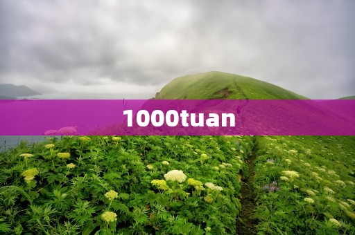 1000tuan