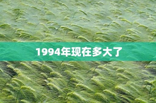 1994年现在多大了