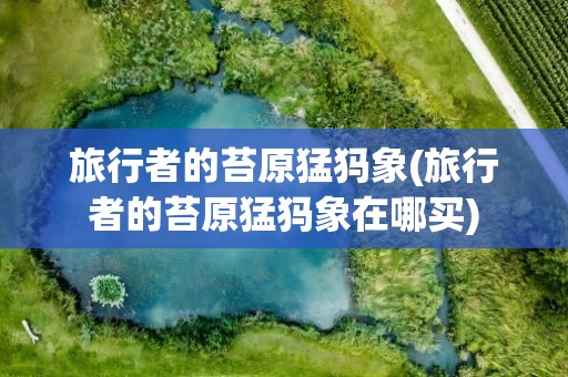 旅行者的苔原猛犸象(旅行者的苔原猛犸象在哪买)