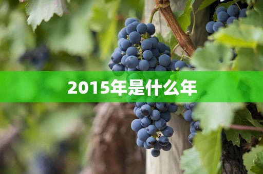 2015年是什么年