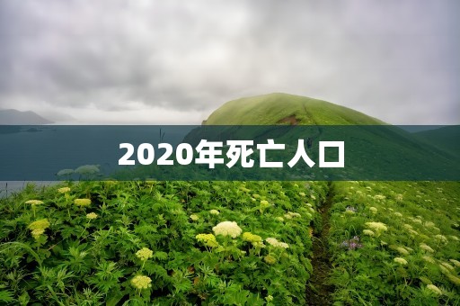 2020年死亡人口