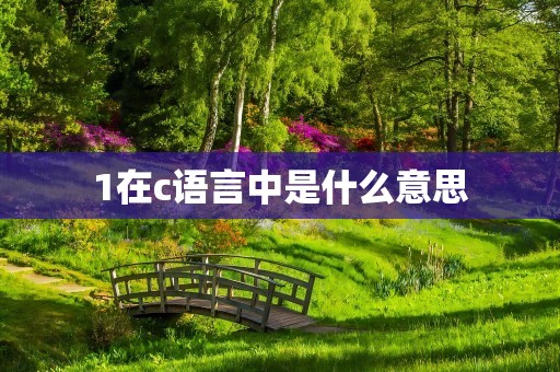 1在c语言中是什么意思