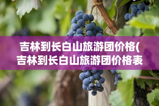 吉林到长白山旅游团价格(吉林到长白山旅游团价格表)