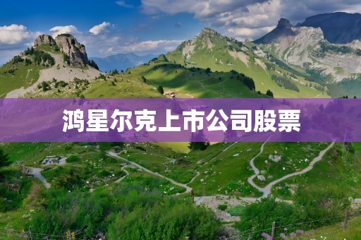 鸿星尔克上市公司股票