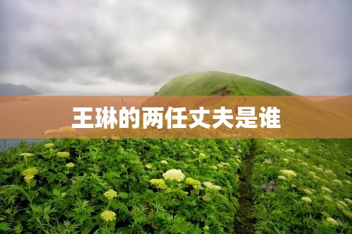 王琳的两任丈夫是谁
