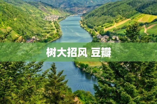 树大招风 豆瓣