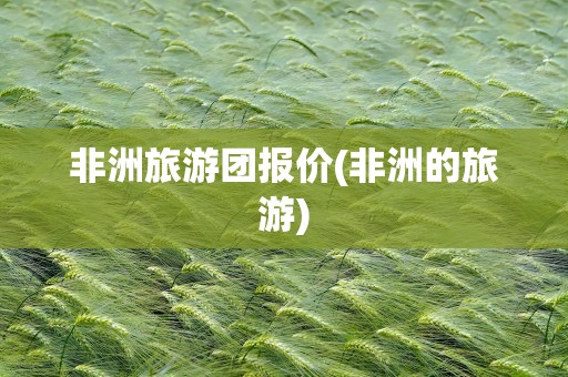 非洲旅游团报价(非洲的旅游)
