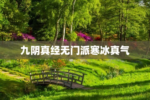 九阴真经无门派寒冰真气