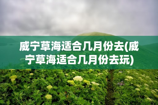 威宁草海适合几月份去(威宁草海适合几月份去玩)