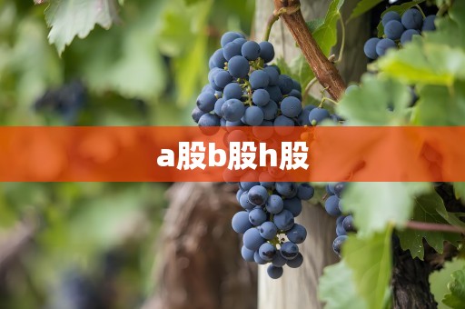 a股b股h股