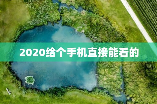 2020给个手机直接能看的