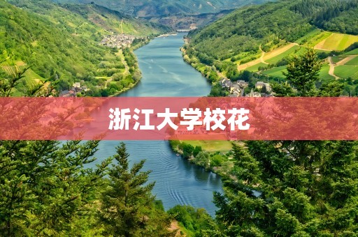 浙江大学校花