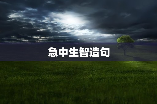 急中生智造句