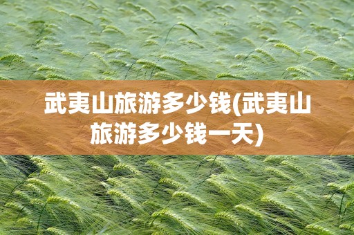 武夷山旅游多少钱(武夷山旅游多少钱一天)