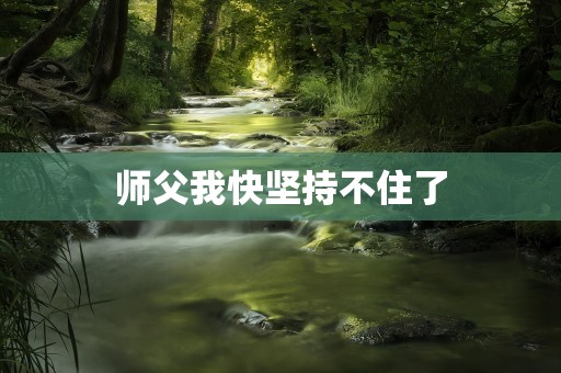 师父我快坚持不住了