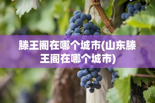 滕王阁在哪个城市(山东滕王阁在哪个城市)