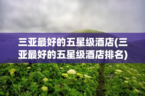 三亚最好的五星级酒店(三亚最好的五星级酒店排名)