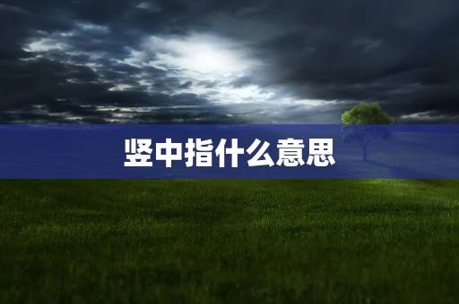 竖中指什么意思