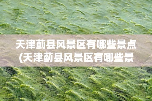 天津蓟县风景区有哪些景点(天津蓟县风景区有哪些景点图片)