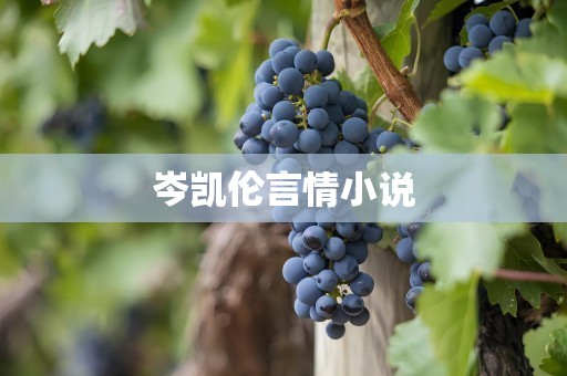岑凯伦言情小说